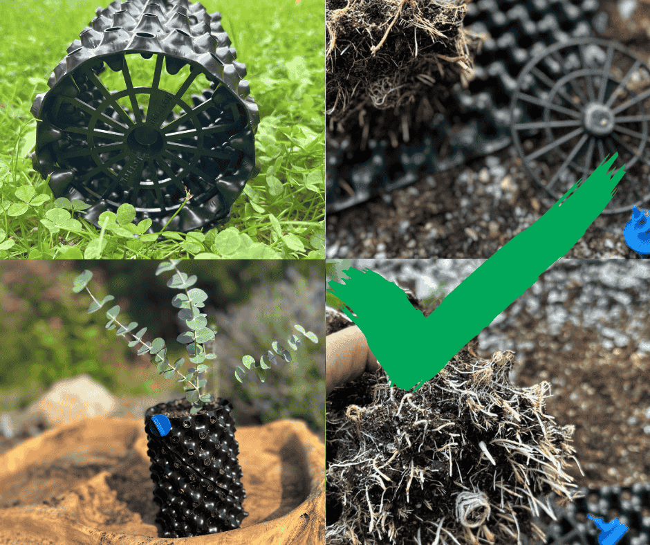 Sázecí nádoba a rostlina s kořeny.